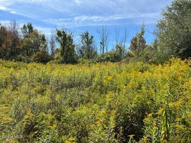Claim your own 18.49-acre nature preserve! This remarkably - photo 6