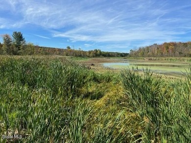 Claim your own 18.49-acre nature preserve! This remarkably - photo 7