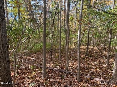 Claim your own 18.49-acre nature preserve! This remarkably - photo 8