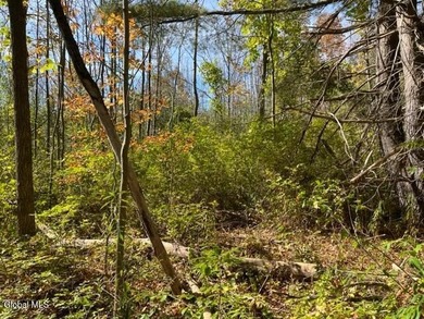 Claim your own 18.49-acre nature preserve! This remarkably - photo 9