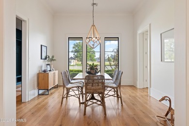 Situated on approximately 12 acres in Lafayette Parish, this - photo 15