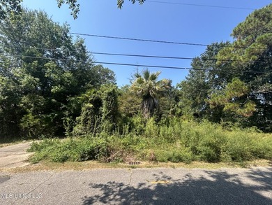 Versatile 0.54-acre lot offers endless potential- zoned for - photo 1