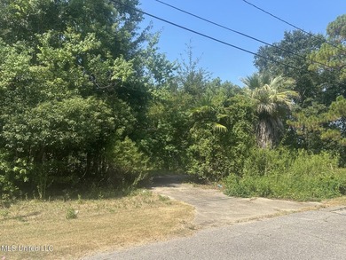 Versatile 0.54-acre lot offers endless potential- zoned for - photo 2