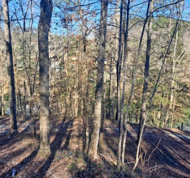Wooded Lake Lot, Deep Water, Brushy - photo 5