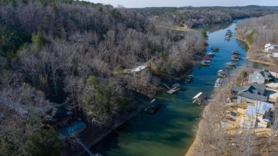 Wooded Lake Lot, Deep Water, Brushy - photo 6