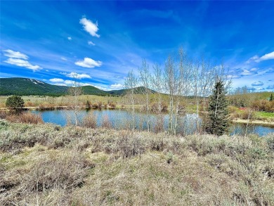  Lot For Sale in Polaris Montana