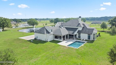 Situated on approximately 12 acres in Lafayette Parish, this - photo 40