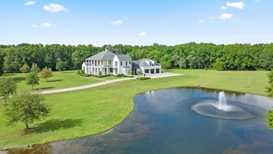 Situated on approximately 12 acres in Lafayette Parish, this - photo 42