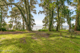 St. Johns River - Duval County Acreage For Sale in Jacksonville Florida