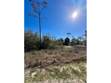 Incredible opportunity to own this 1st Tier Lot in the coveted - photo 2