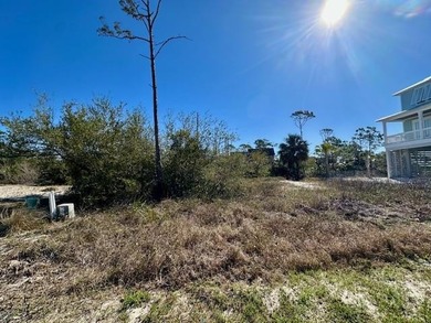 Incredible opportunity to own this 1st Tier Lot in the coveted - photo 10