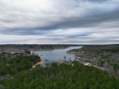 Enjoy Smith Lake without The Smith Lake Price Tag! This Lot is 1 - photo 1