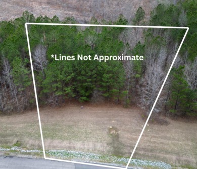 Enjoy Smith Lake without The Smith Lake Price Tag! This Lot is 1 - photo 2