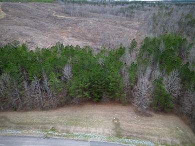 Enjoy Smith Lake without The Smith Lake Price Tag! This Lot is 1 - photo 3