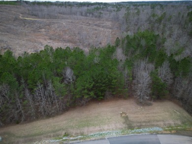 Enjoy Smith Lake without The Smith Lake Price Tag! This Lot is 1 - photo 4