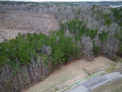 Enjoy Smith Lake without The Smith Lake Price Tag! This Lot is 1 - photo 5