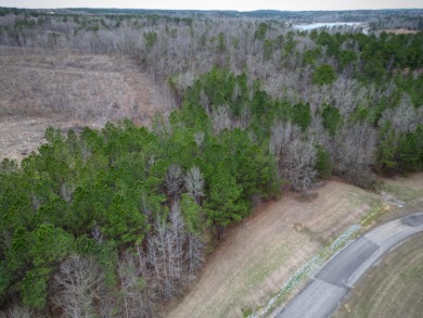Enjoy Smith Lake without The Smith Lake Price Tag! This Lot is 1 - photo 6