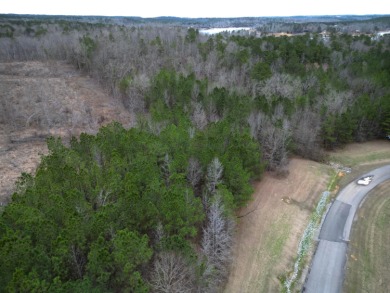 Enjoy Smith Lake without The Smith Lake Price Tag! This Lot is 1 - photo 7