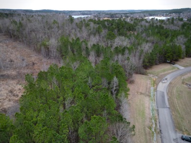 Enjoy Smith Lake without The Smith Lake Price Tag! This Lot is 1 - photo 8