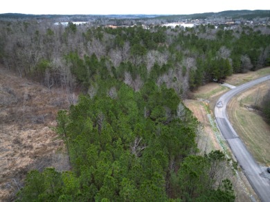 Enjoy Smith Lake without The Smith Lake Price Tag! This Lot is 1 - photo 9