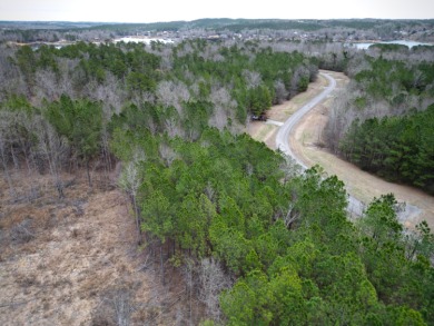 Enjoy Smith Lake without The Smith Lake Price Tag! This Lot is 1 - photo 10