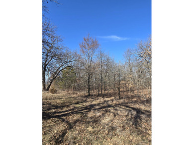 Grand Lake O the Cherokees Acreage For Sale in Wyandotte Oklahoma