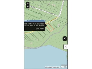 Phenomenal Lake Huron waterfront lots boasting 100.88 feet of - photo 11