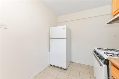 East Flatbush: This Co-Op Apartment Unit Has All The Space You - photo 11