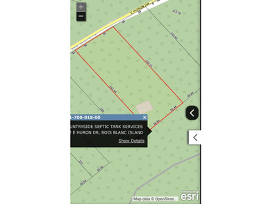 Phenomenal Lake Huron waterfront lots boasting 100.88 feet of - photo 12