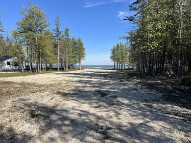 Phenomenal Lake Huron waterfront lots boasting 100.88 feet of - photo 15