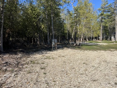 Phenomenal Lake Huron waterfront lots boasting 100.88 feet of - photo 16