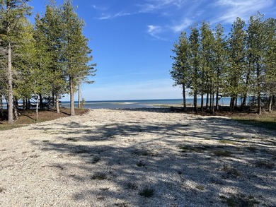 Phenomenal Lake Huron waterfront lots boasting 100.88 feet of - photo 17