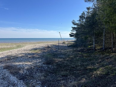 Phenomenal Lake Huron waterfront lots boasting 100.88 feet of - photo 18