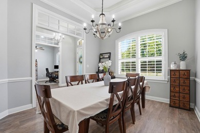 Movie theater? Covered heated pool? This stunning 5 bed, 4 bath - photo 19