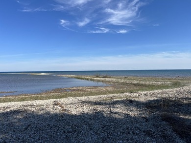 Phenomenal Lake Huron waterfront lots boasting 100.88 feet of - photo 19