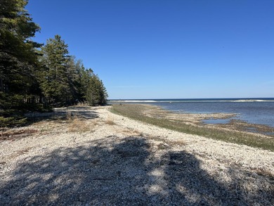 Phenomenal Lake Huron waterfront lots boasting 100.88 feet of - photo 21
