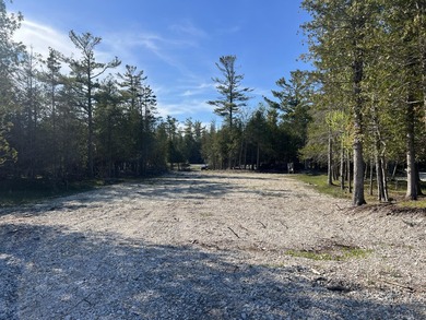 Phenomenal Lake Huron waterfront lots boasting 100.88 feet of - photo 22