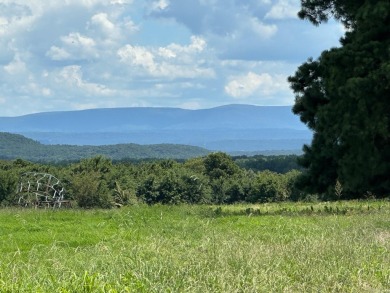 Lake Acreage For Sale in Coal Hill, Arkansas