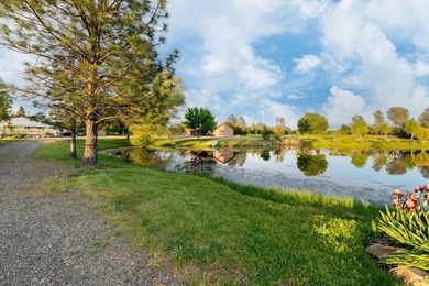 A rare Redding legacy estate - nearly 16 acres with three - photo 10