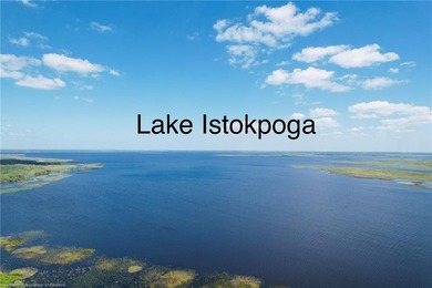 WATERFRONT HOME on almost 1/2 acre. Dock with boathouse and lift - photo 4