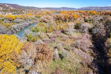 Discover The Cottonwood Ranch, a remarkable investment - photo 12