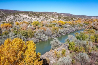 Discover The Cottonwood Ranch, a remarkable investment - photo 13