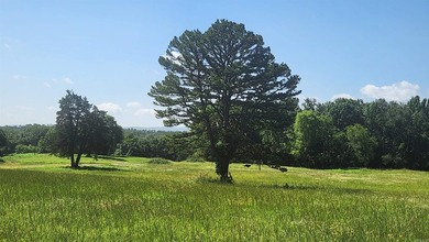 Lake Ouachita Acreage Active Under Contract in Story Arkansas