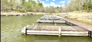 Sleeps 8-12! 2 +/- ACRES, Dock & Garage By Laurel Branch! - photo 29