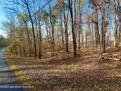 Lake Lot For Sale in Dadeville, Alabama