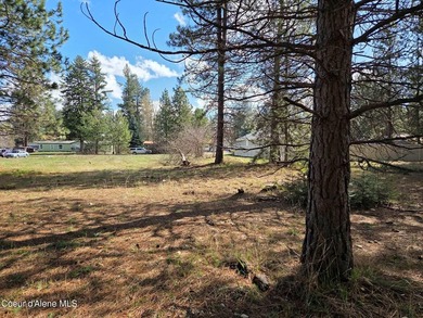 Seven adjoining city lots for a total of 1.13 acres in the - photo 12