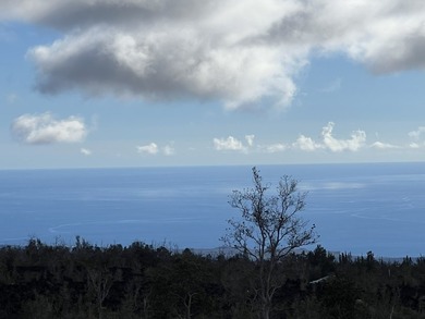 Level 1 acre lot with unobstructed view of the ocean. Bring your - photo 3