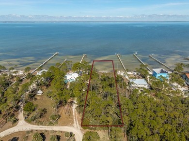 Sunset seekers, anglers, and visionaries - this is the bayfront - photo 4