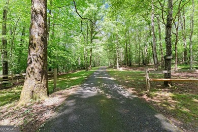 Wonderful 5-acre Chattahoochee River home located in the - photo 60