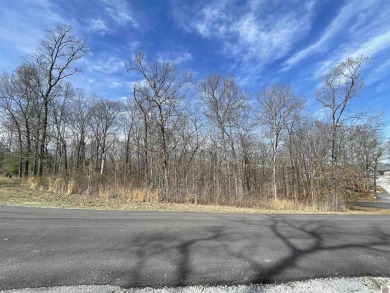 Lake Lot For Sale in Murray, Kentucky